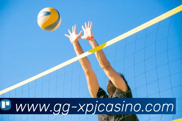 新葡京娱乐APP 体育赛事宣传图